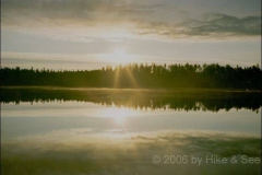 imm001