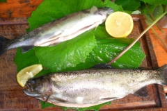 Outdoor Cooking: Frisch gefangener Fisch in Finnland